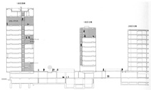 1街区南棟、1街区北棟を通る断面　縮尺1/800