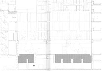 5号棟、8号SOHO別荘を通る低層階断面　縮尺1/150