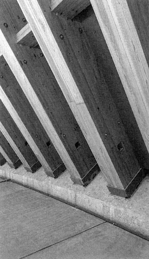 「静岡県草薙総合運動場体育館」屋根荷重を下部構造に伝える360×600mmのスギ集成材。