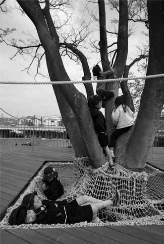 「ふじようちえん」屋上の木の周りのネット。安全措置として1.1mの高さの手摺りが周りに回されているが、園児は構わず潜り抜け、ネットに落ちて遊ぶ。