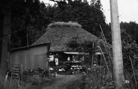 「ニラハウス」民家の芝棟