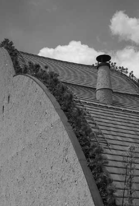 「多治見市モザイクタイルミュージアム」屋根面　高さ50cm ほどの松の木が植えられている