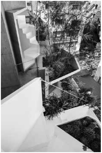 「Tree-ness Houseのひだ部分のプランターと内包された階段の写真」外観