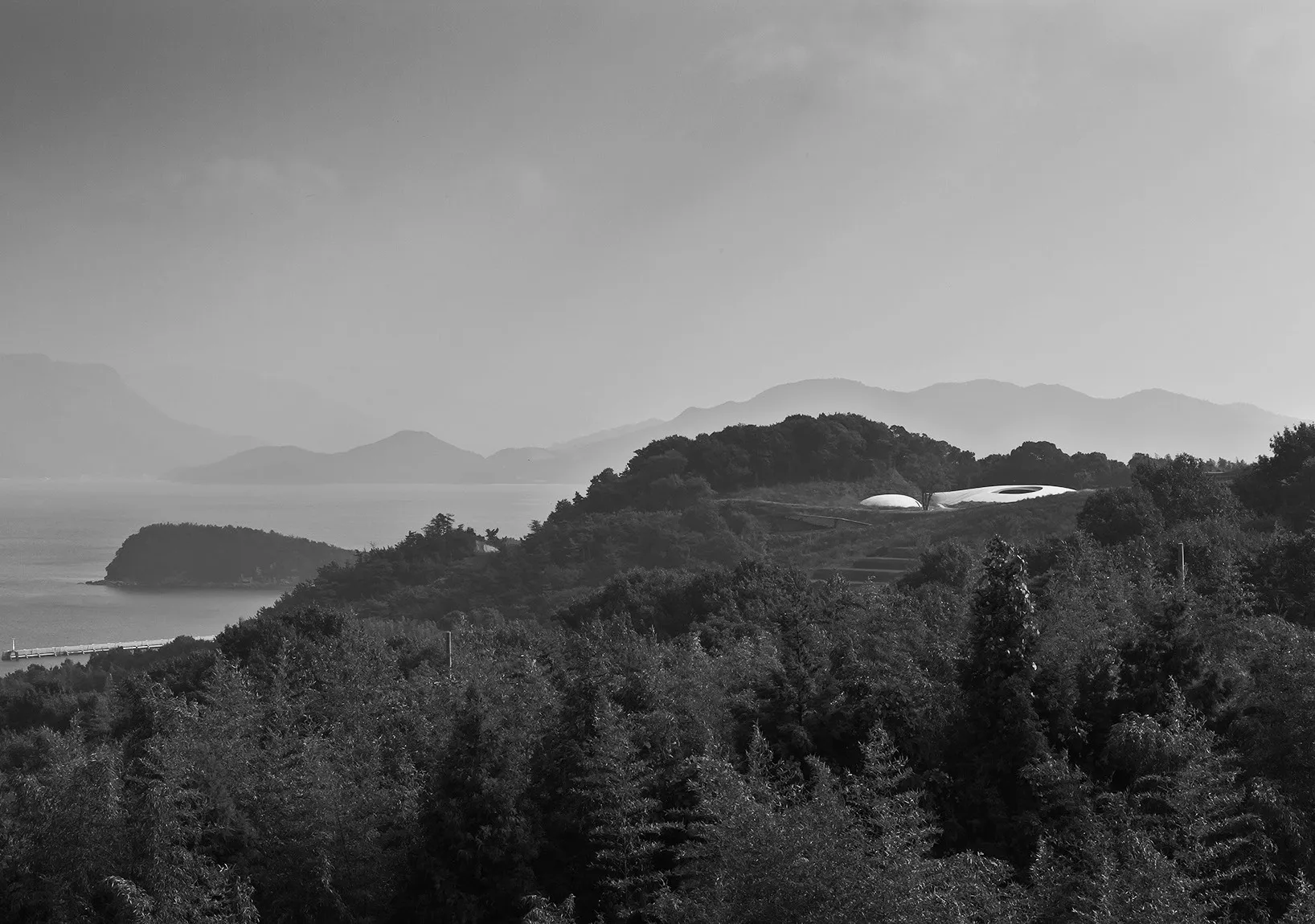 「「豊島美術館」西側遠景。周囲の等高線と呼応するような自由曲線で構成されたコンクリートシェル構造」の写真