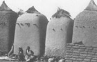 サハラ砂漠南縁のサバンナ集落の穀倉の例