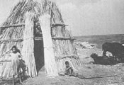チグリス・ユーフラテスの家族島の住居のつくり方