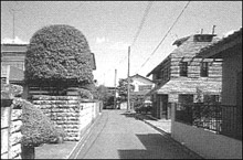 郊外住宅地に建つ現代の芝棟