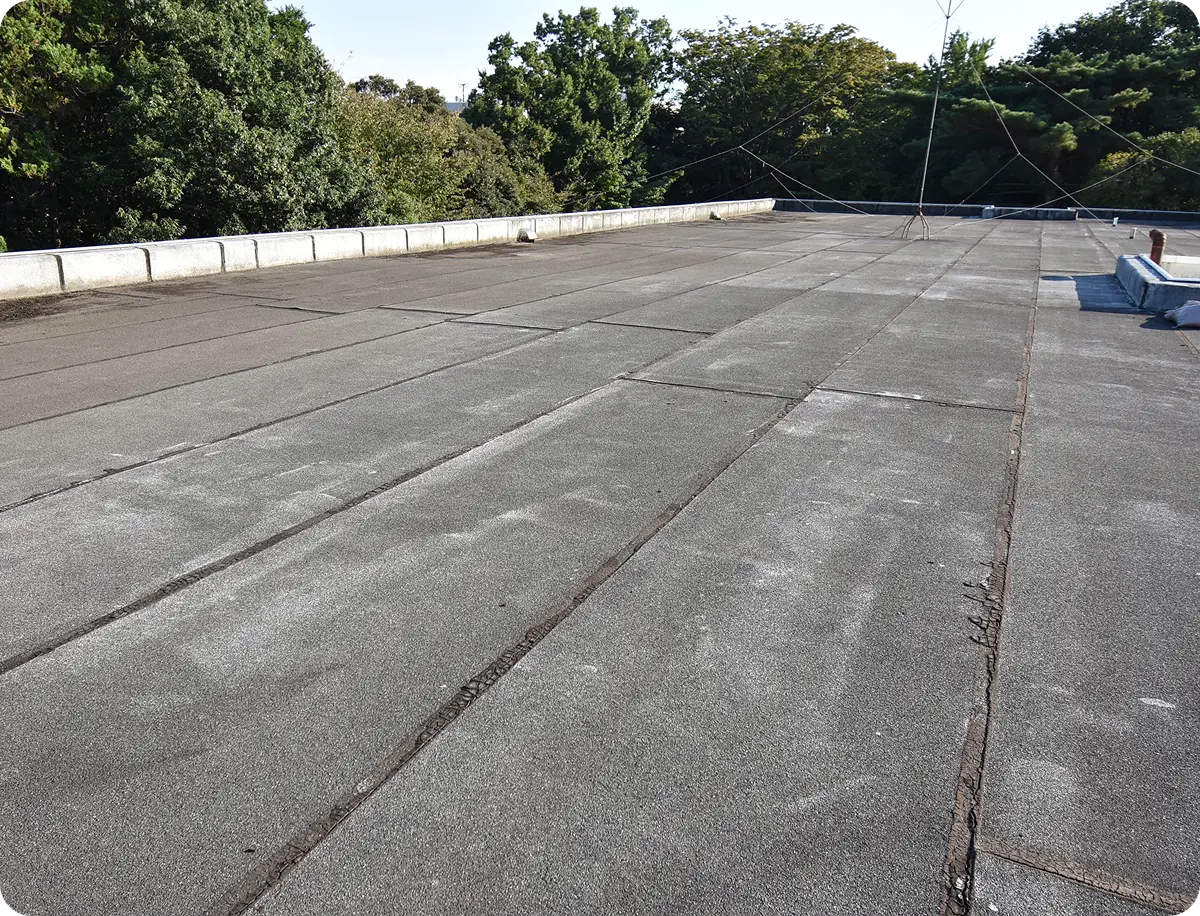 リニューアル予定の建物の現場調査